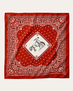 ALTERNATE VIEW OF RODEO SPIRIT SILK SCARF IN RED image number 5