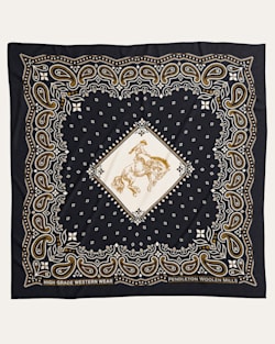 ALTERNATE VIEW OF RODEO SPIRIT SILK SCARF IN BLACK image number 2