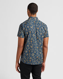 ALTERNATE VIEW OF ALTERNATE VIEW OF NAVY HORSESHOE image number 3