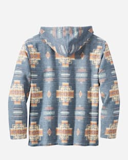 BACK VIEW OF MEN'S HOODIE POPOVER IN CHIEF JOSEPH BLUE image number 2