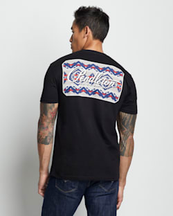 ALTERNATE VIEW OF MEN'S TECOPA HILLS LOGO GRAPHIC TEE IN BLACK/MULTI image number 2