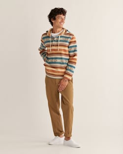 MEN'S DOUBLESOFT DRIFTWOOD HOODIE IN AZURE/BROWN STRIPE image number 1