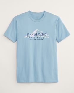 MEN'S BORN IN OREGON GRAPHIC TEE IN PALE BLUE/NAVY image number 1