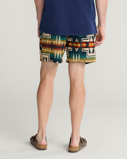 ALTERNATE VIEW OF HARDING SHORESIDE PACK-N-GO SWIM TRUNKS IN CENTURY HARDING image number 3