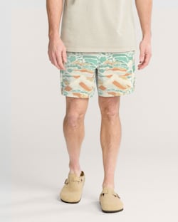 PACIFIC LANDSCAPE FIELDER CARGO SHORTS IN PACIFIC LANDSCAPE image number 1