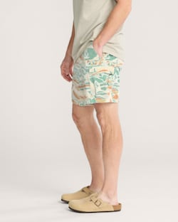 ALTERNATE VIEW OF PACIFIC LANDSCAPE FIELDER CARGO SHORTS IN PACIFIC LANDSCAPE image number 4