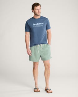 ALTERNATE VIEW OF TROPICAL HYDROMORPH SWIM TRUNKS IN CHINOIS GREEN image number 2