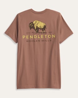 MEN'S SHORT-SLEEVE VINTAGE BISON GRAPHIC TEE IN CHESTNUT/TAN image number 1