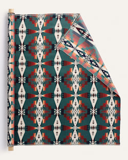 SUNBRELLA X PENDLETON TUCSON FABRIC IN AGATE image number 1