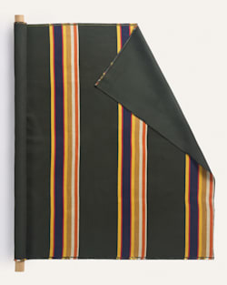 SUNBRELLA X PENDLETON BADLANDS STRIPE FABRIC IN PINE image number 1