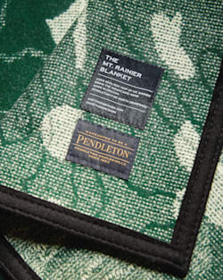 ALTERNATE VIEW OF MT. RAINIER GEOLOGICAL BLANKET IN GREEN image number 3