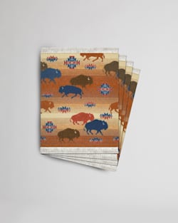 COASTER RUG IN PRAIRIE RUSH HOUR image number 1