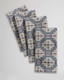 CHIEF JOSEPH NAPKINS, SET OF 4 IN SLATE image number 1
