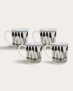 4-PACK LEGENDARY COFFEE MUG IN IN THEIR ELEMENT image number 2