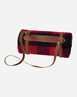 MOTOR ROBE LEATHER CARRIER IN BROWN MULTI image number 1