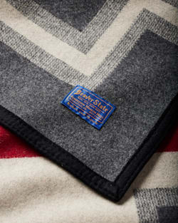 ALTERNATE VIEW OF SAN MIGUEL BLANKET IN GREY image number 4