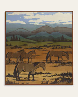SHADOW MOUNTAIN BLANKET IN MEADOW image number 1