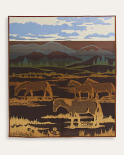 ALTERNATE VIEW OF SHADOW MOUNTAIN BLANKET IN MEADOW image number 2