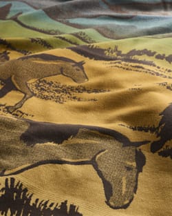 ALTERNATE VIEW OF SHADOW MOUNTAIN BLANKET IN MEADOW image number 4