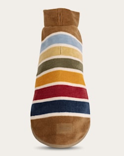 JOSHUA TREE NATIONAL PARK PET VEST IN JOSHUA TREE image number 1