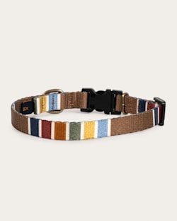 ALTERNATE VIEW OF JOSHUA TREE NATIONAL PARK ADVENTURE COLLAR IN JOSHUA TREE image number 2