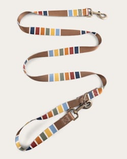 ALTERNATE VIEW OF JOSHUA TREE NATIONAL PARK ADVENTURE LEASH IN JOSHUA TREE image number 2