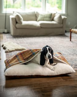 ALTERNATE VIEW OF DESERT PLAID BURROW PET BED IN DESERT PLAID image number 2