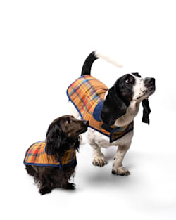 ALTERNATE VIEW OF DESERT PLAID PET COAT IN DESERT PLAID image number 2