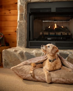 ALTERNATE VIEW OF GINGER MESILLA BURROW PET BED IN GINGER MESILLA image number 1