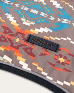 ALTERNATE VIEW OF CARICO LAKE PET ADVENTURE RAIN COAT IN CARICO LAKE image number 5