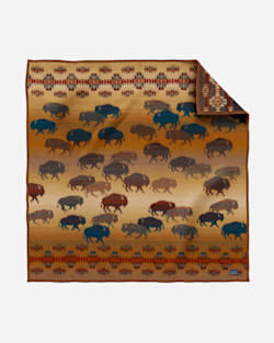ALTERNATE VIEW OF PRAIRIE RUSH HOUR THROW AND PILLOW 2-PACK IN PRAIRIE RUSH HOUR RUSTIC image number 4