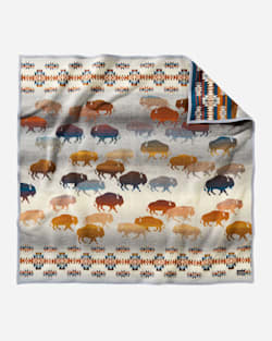 ALTERNATE VIEW OF PRAIRIE RUSH HOUR THROW AND PILLOW 2-PACK IN PRAIRIE RUSH HOUR GREY image number 2