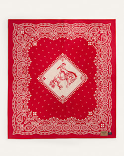 ALTERNATE VIEW OF RODEO SPIRIT BLANKET IN RED image number 3