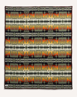 ALTERNATE VIEW OF PONDEROSA BLANKET IN GREEN MULTI image number 4