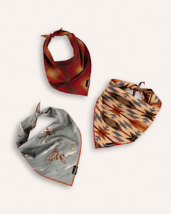 PET BANDANA 3PK IN RIDERS RANGE image number 1