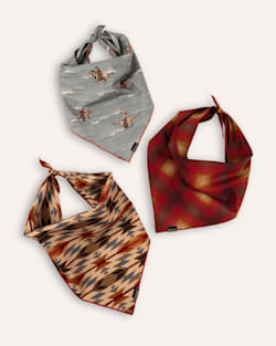 ALTERNATE VIEW OF PET BANDANA 3PK IN RIDERS RANGE image number 2