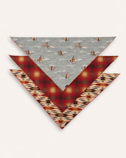 ALTERNATE VIEW OF PET BANDANA 3PK IN RIDERS RANGE image number 3
