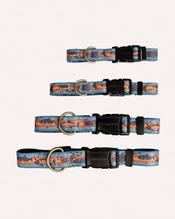 ALTERNATE VIEW OF SALMON FALLS ADVENTURE COLLAR IN BLUE MULTI image number 3