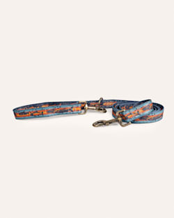 SALMON FALLS ADVENTURE LEASH IN BLUE MULTI image number 1