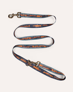 ALTERNATE VIEW OF SALMON FALLS ADVENTURE LEASH IN BLUE MULTI image number 2