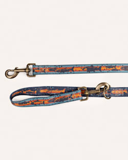 ALTERNATE VIEW OF SALMON FALLS ADVENTURE LEASH IN BLUE MULTI image number 3