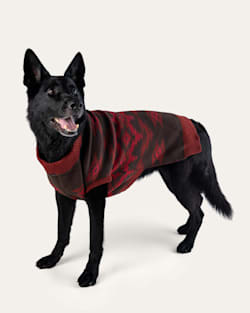 CROWN POINT PET SWEATER IN RED MULTI image number 1