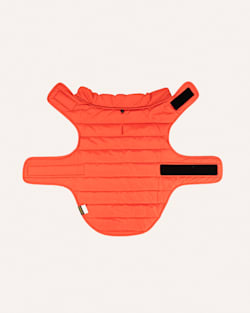 ALTERNATE VIEW OF CROWN POINT PET PUFFER COAT IN ORANGE MULTI image number 4
