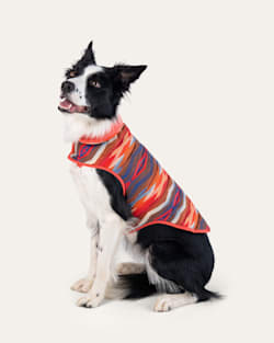ALTERNATE VIEW OF CROWN POINT PET PUFFER COAT IN ORANGE MULTI image number 6