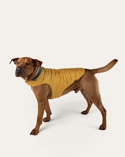 ALTERNATE VIEW OF SALMON FALLS PET PUFFER COAT IN BLUE/GOLD MULTI image number 2