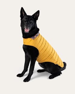 ALTERNATE VIEW OF SALMON FALLS PET PUFFER COAT IN BLUE/GOLD MULTI image number 6