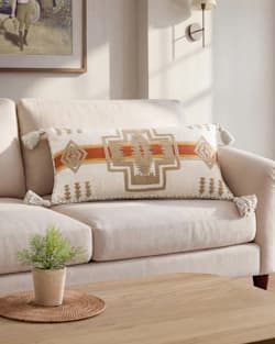 HARDING EMBROIDERED HUG PILLOW IN IVORY MULTI image number 1