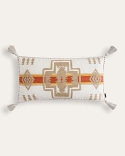 ALTERNATE VIEW OF HARDING EMBROIDERED HUG PILLOW IN IVORY MULTI image number 3