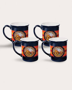 4-PACK NATIONAL PARK COFFEE MUG IN GRAND CANYON (NAVY) image number 2