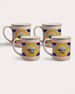 4-PACK NATIONAL PARK COFFEE MUG IN TAUPE YELLOWSTONE image number 2
